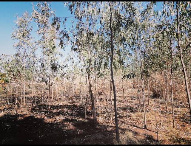 LAND FOR SALE IN WALKERVILLE CENTRAL